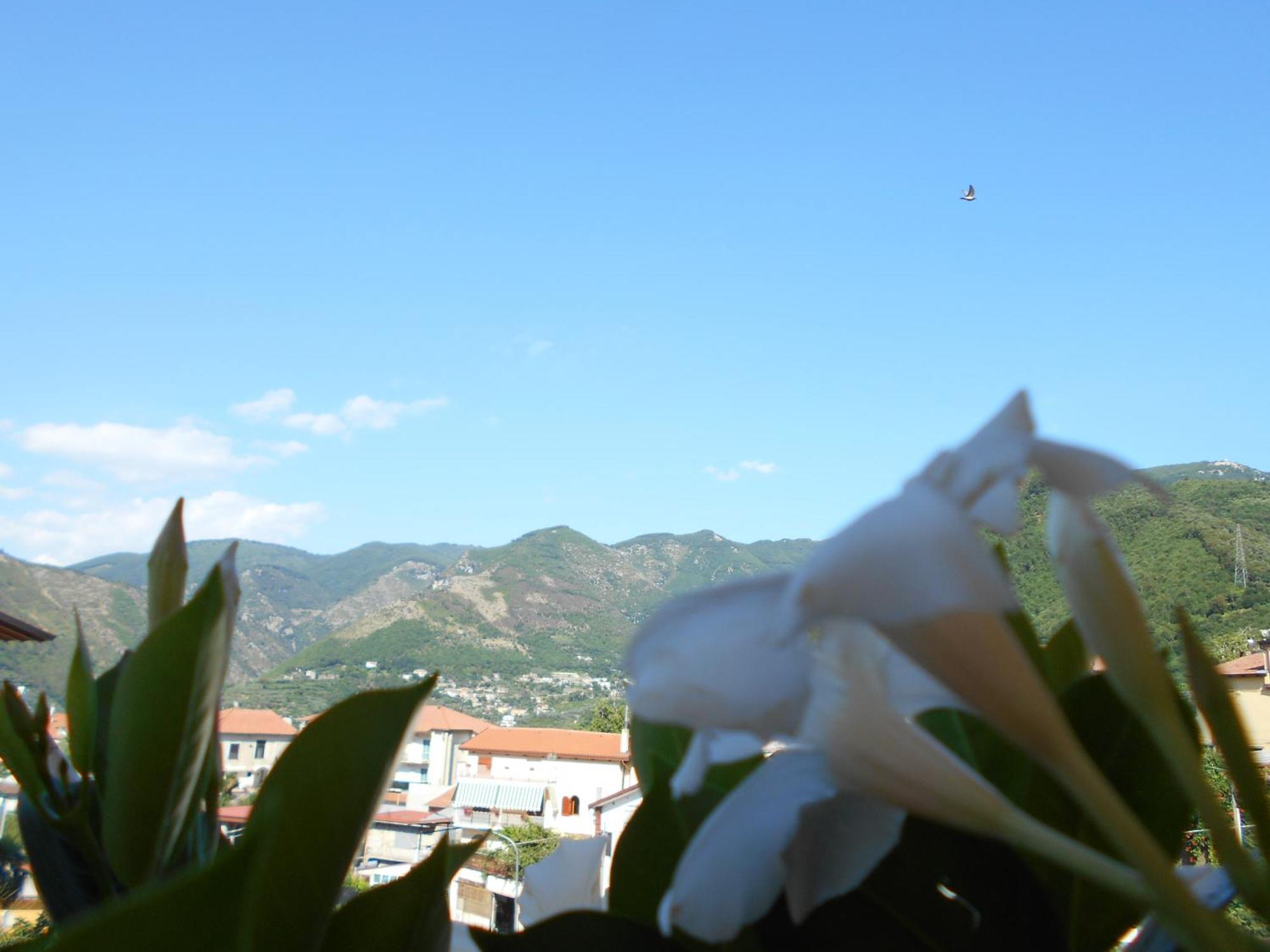 Appartamento mare e monti Two Pimonte Esterno foto